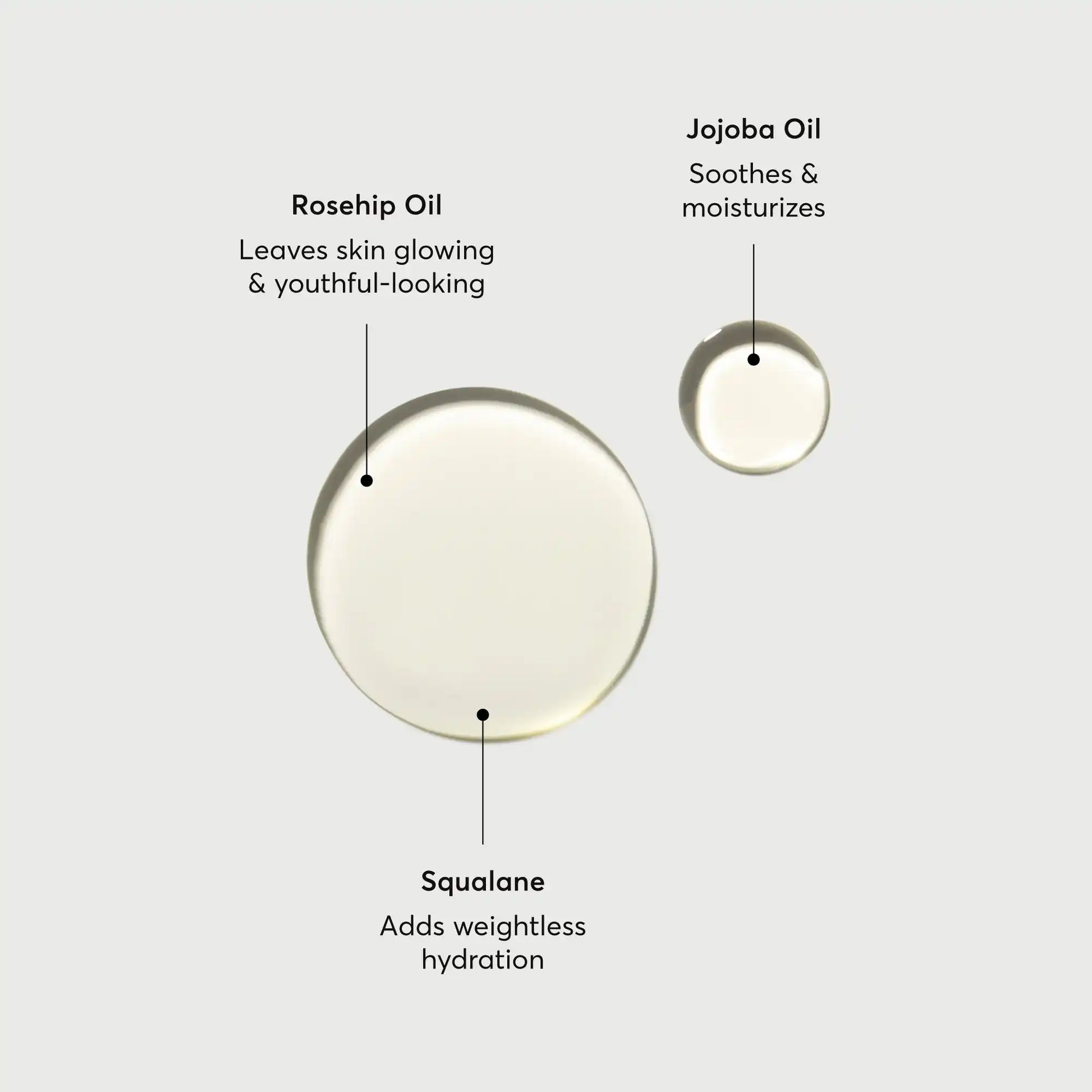 the-glow-getter-body-oil-j5 NATR-10115-Alt-Images-The-Glow-Getter-Body-Oil-01.webp