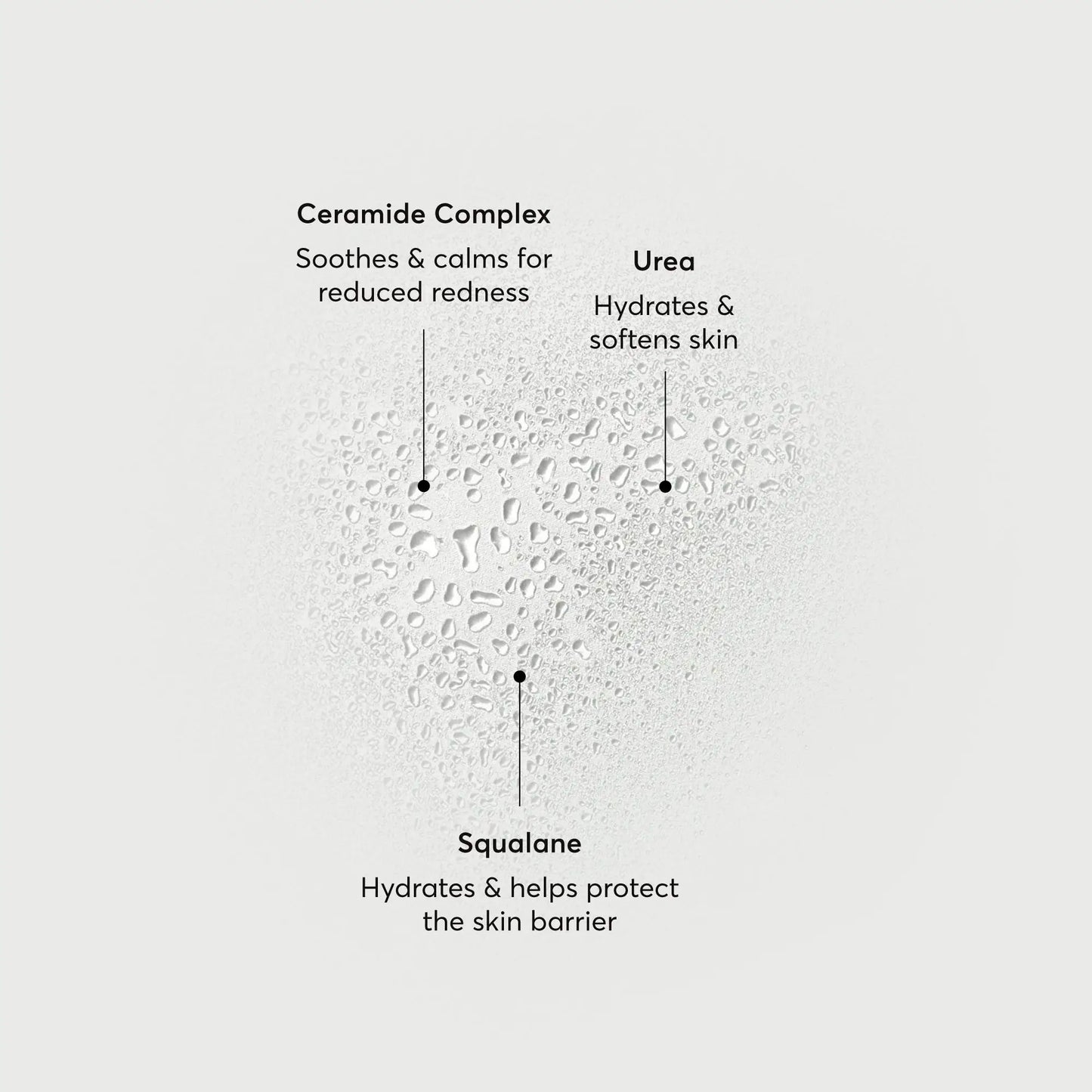 barrier-bounce-bi-phase-mist-w4 NATR-10167-Alt-Images-Barrier-Bounce-Bi-Phase-Toner-Mist_01.webp