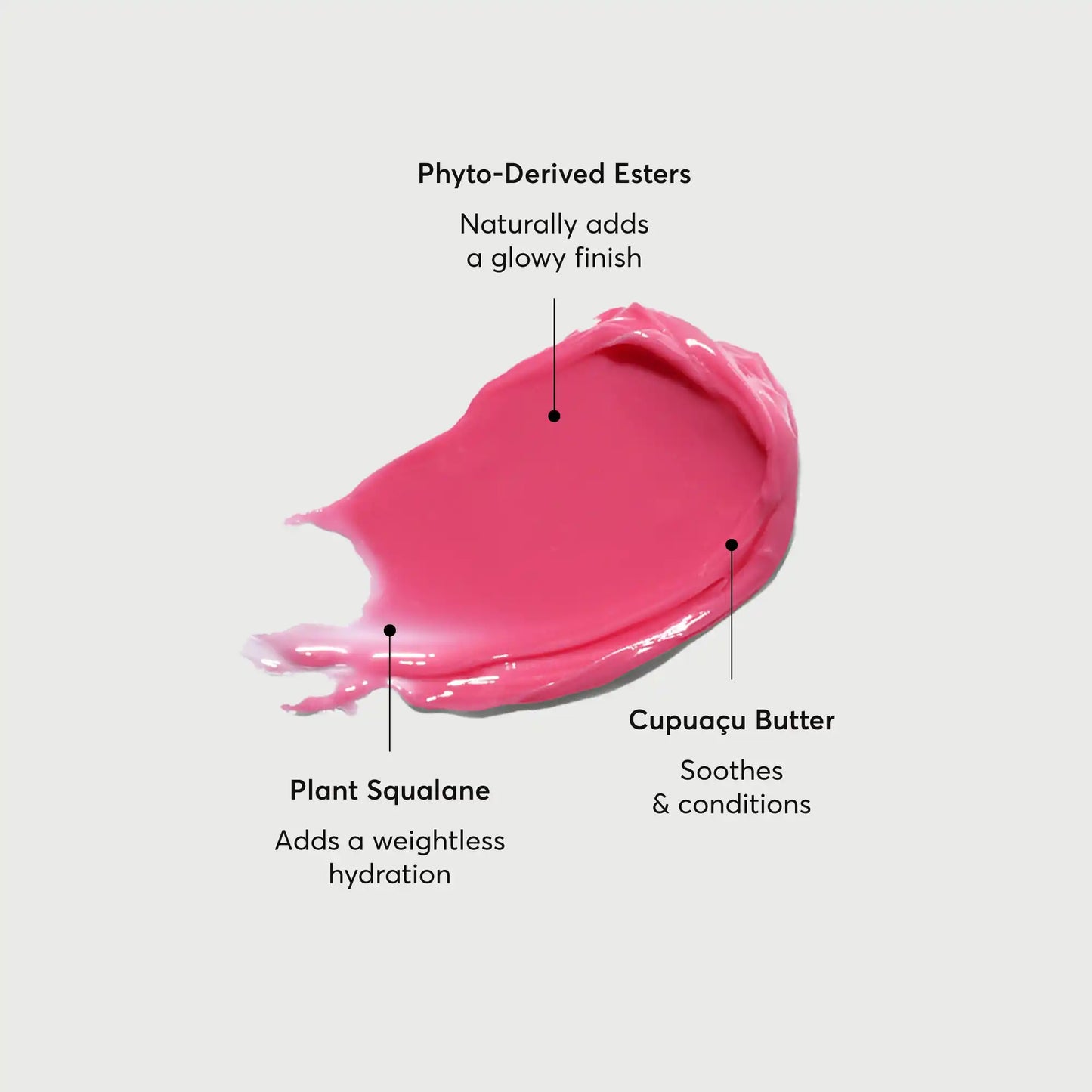phyto-glow-lip-balm-camellia-n1 NATR-60075-Alt-Images-Phyto-Glow-Lip-Balm-Camellia-01.webp